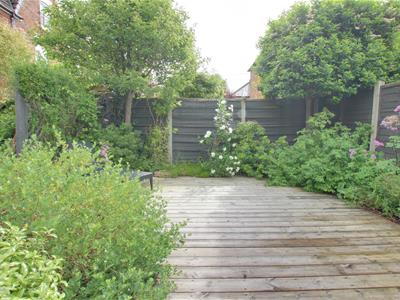 Picture 26